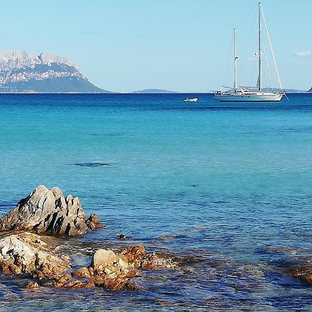 Hotel Tabby Golfo Aranci Exterior photo